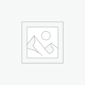 Gold Accent Festive Suit